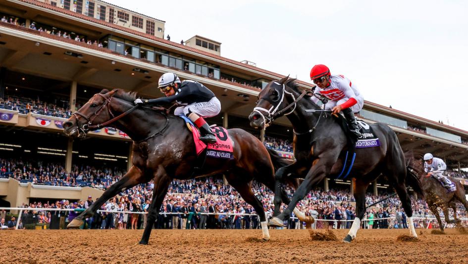 Straight No Chaser, Full Surrano, Moira, More Than Looks, 2024 Breeders Cup at Del Mar